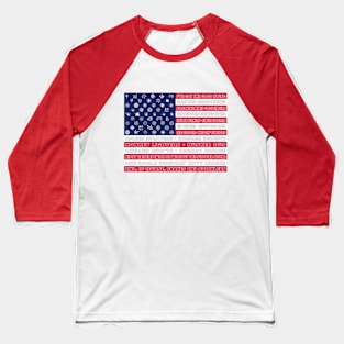 Fireworks Flag Snakes and Sparklers Baseball T-Shirt